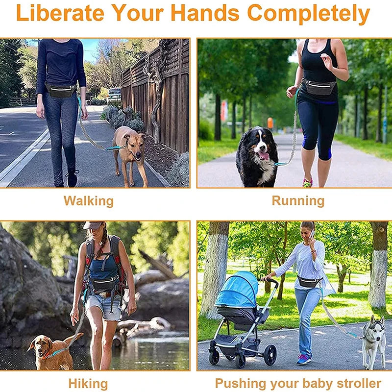 Laisse Élastique pour Chien Mains Libres – Laisse Rétractable en Nylon pour la Course et la Marche, Accessoire Pratique pour Chien
