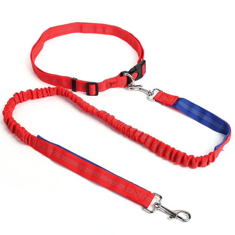 Laisse Élastique pour Chien Mains Libres – Laisse Rétractable en Nylon pour la Course et la Marche, Accessoire Pratique pour Chien