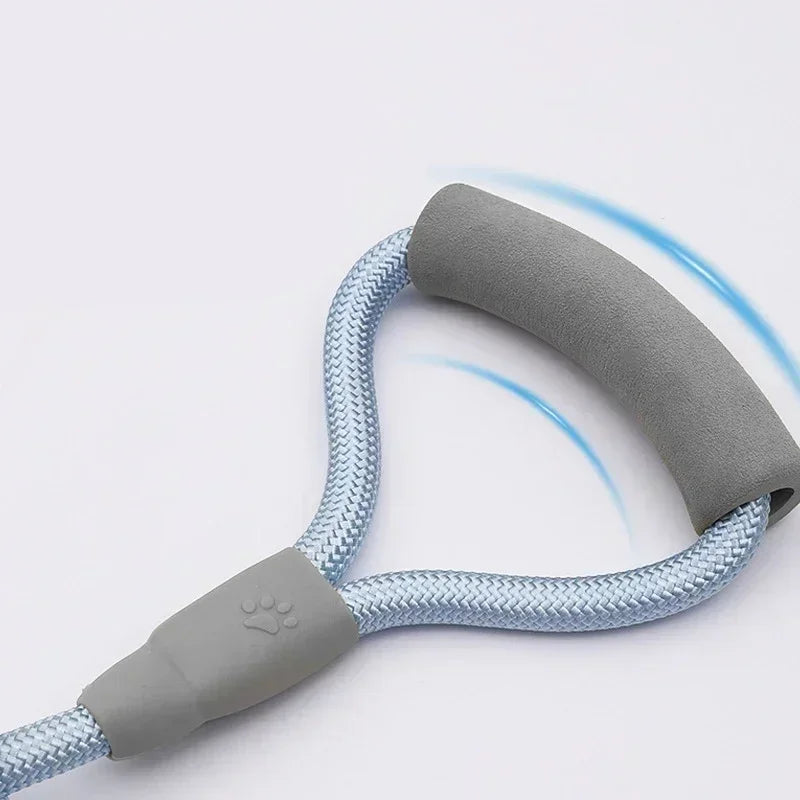 Laisse Double pour Chien – Laisse Moyenne avec Chaîne Double, Système Une Laisse pour Deux Chiens, Accessoire Pratique pour la Marche