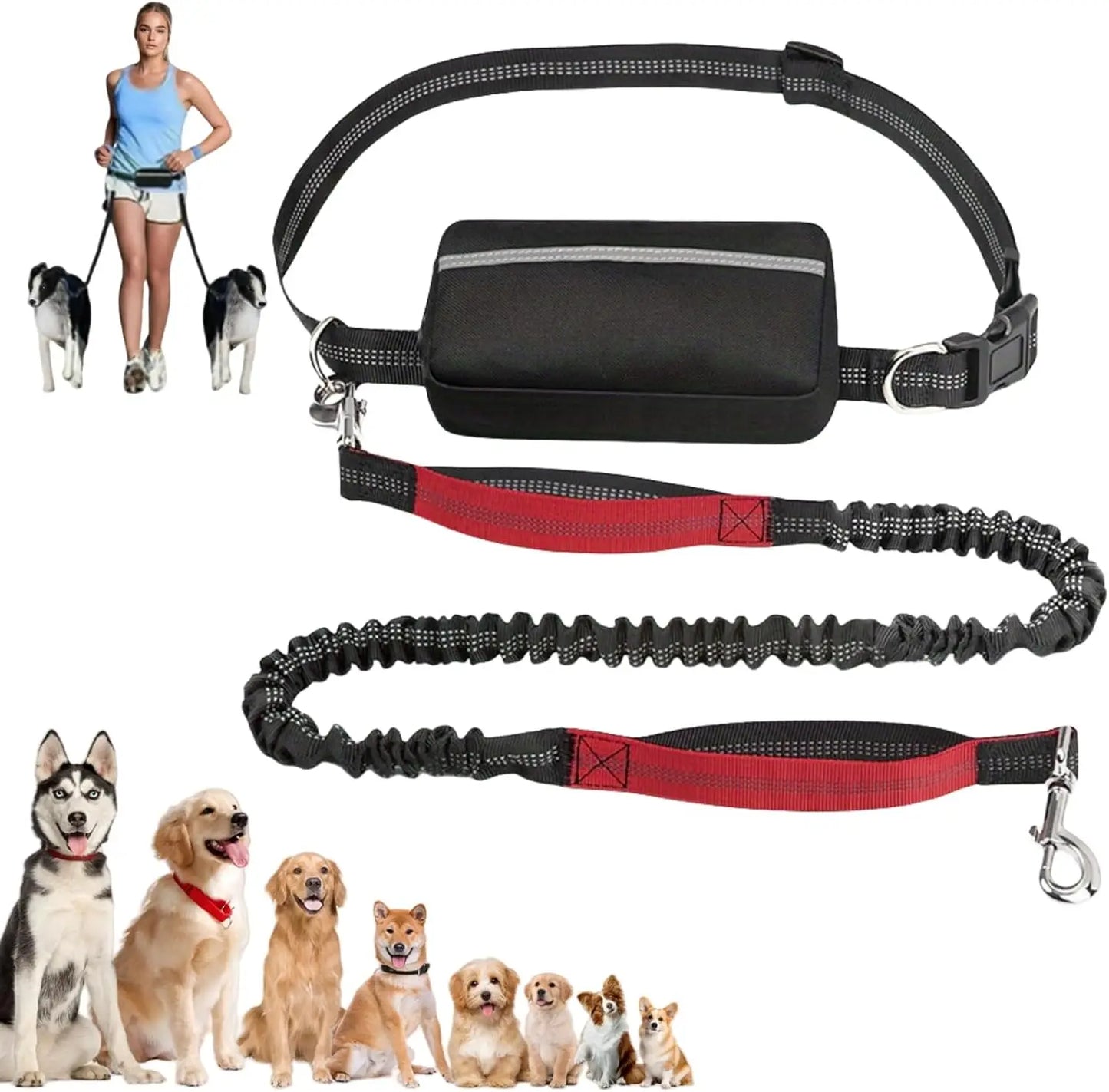 Laisse pour Chien Mains Libres 1,65 m avec Pochette à Fermeture Éclair – Laisse de Taille avec Double Poignée Rembourrée pour la Marche
