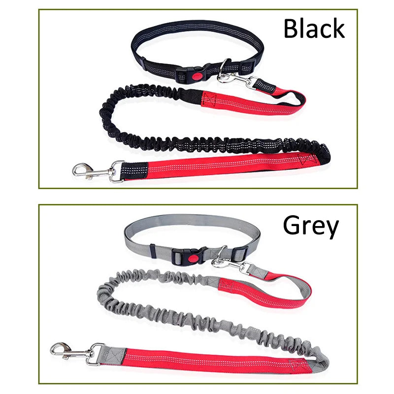 Laisse Élastique pour Chien Mains Libres – Laisse Rétractable en Nylon pour la Course et la Marche, Accessoire Pratique pour Chien