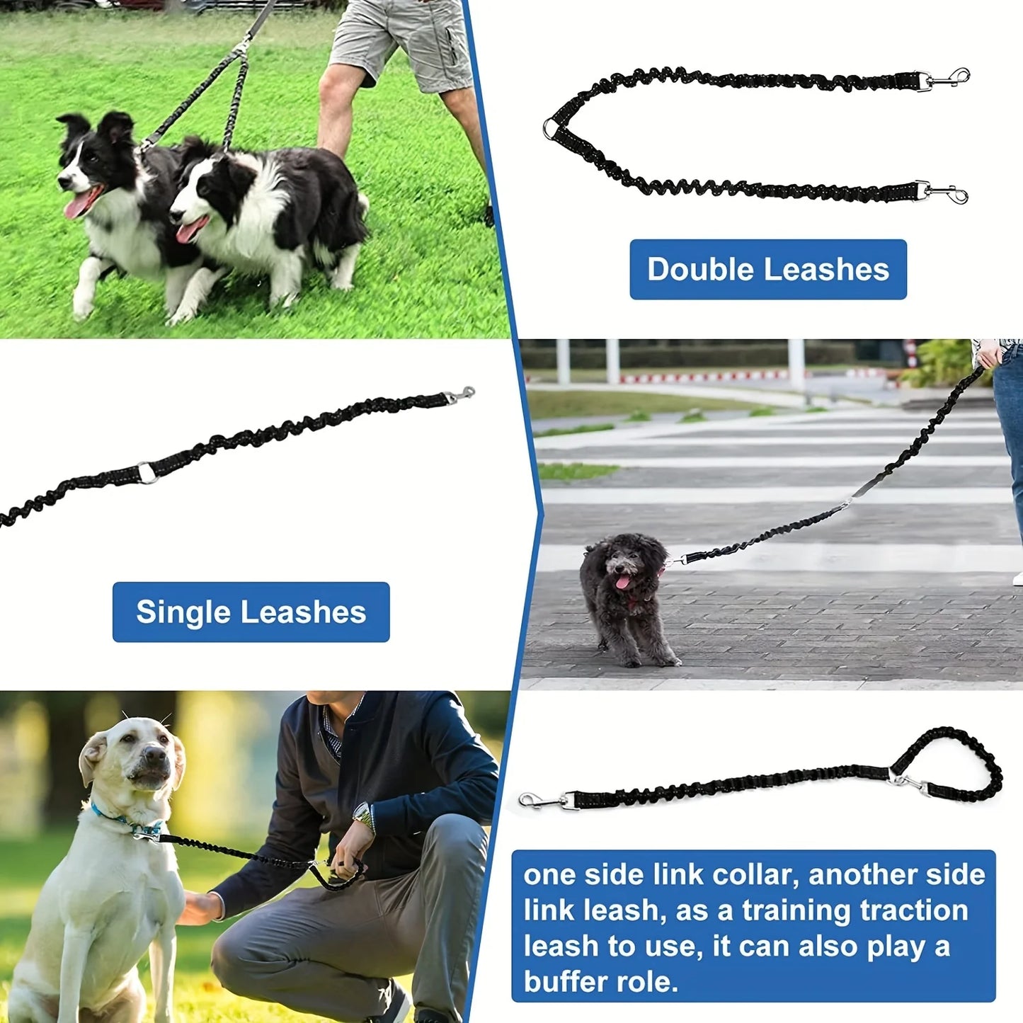 Laisse Double pour Chien – Coupleur Anti-Enchevêtrement avec Amortisseur de Chocs et Sangle Réfléchissante pour Sécurité Nocturne