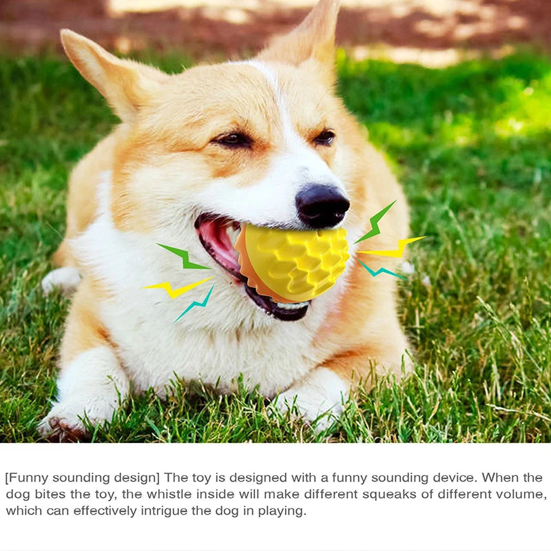 Balle à Mâcher Sonore pour Chien – Jouet Interactif d’Extérieur pour Petits, Moyens et Grands Chiens – Nettoyage des Dents, Anti-Stress – Idéal Chihuahua, Yorkie et Autres Races