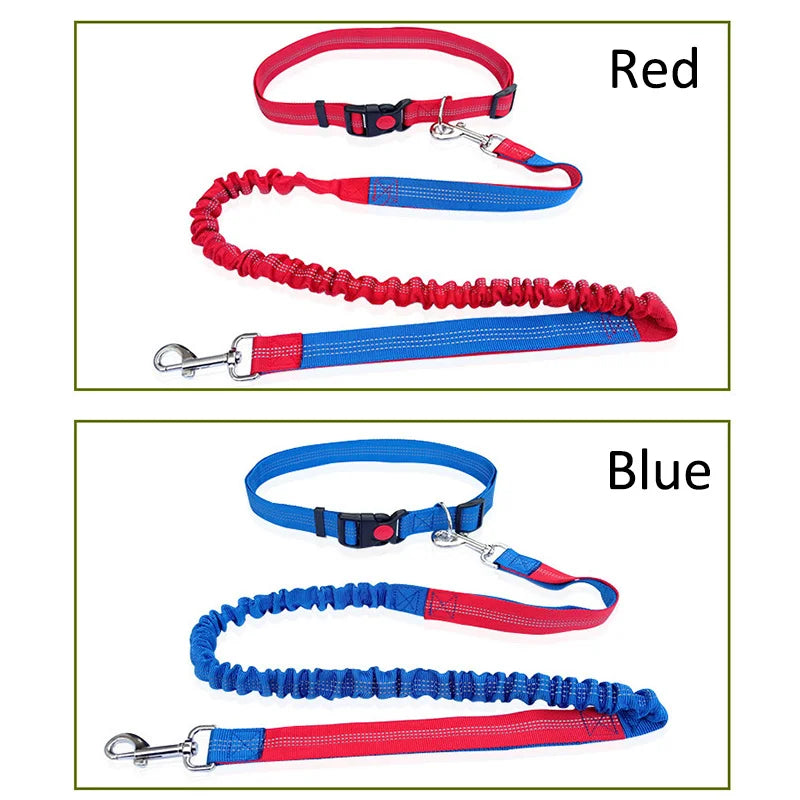 Laisse Élastique pour Chien Mains Libres – Laisse Rétractable en Nylon pour la Course et la Marche, Accessoire Pratique pour Chien