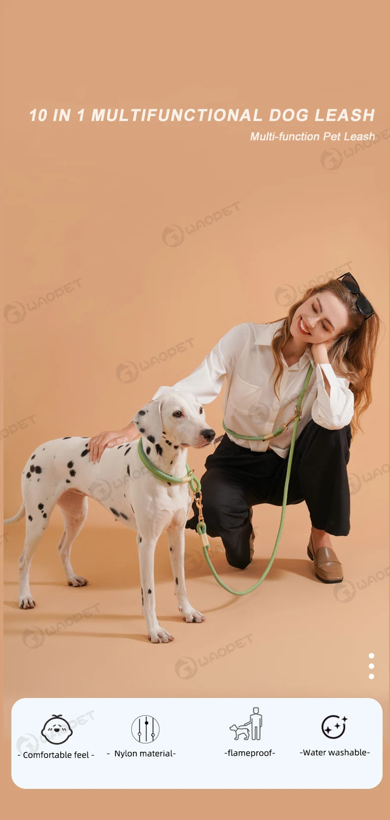 Laisse Multifonction Mains Libres pour Chien – Corde de Marche 10-en-1 pour Chiens Petits, Moyens et Grands, Idéale pour la Course et la Marche en Extérieur