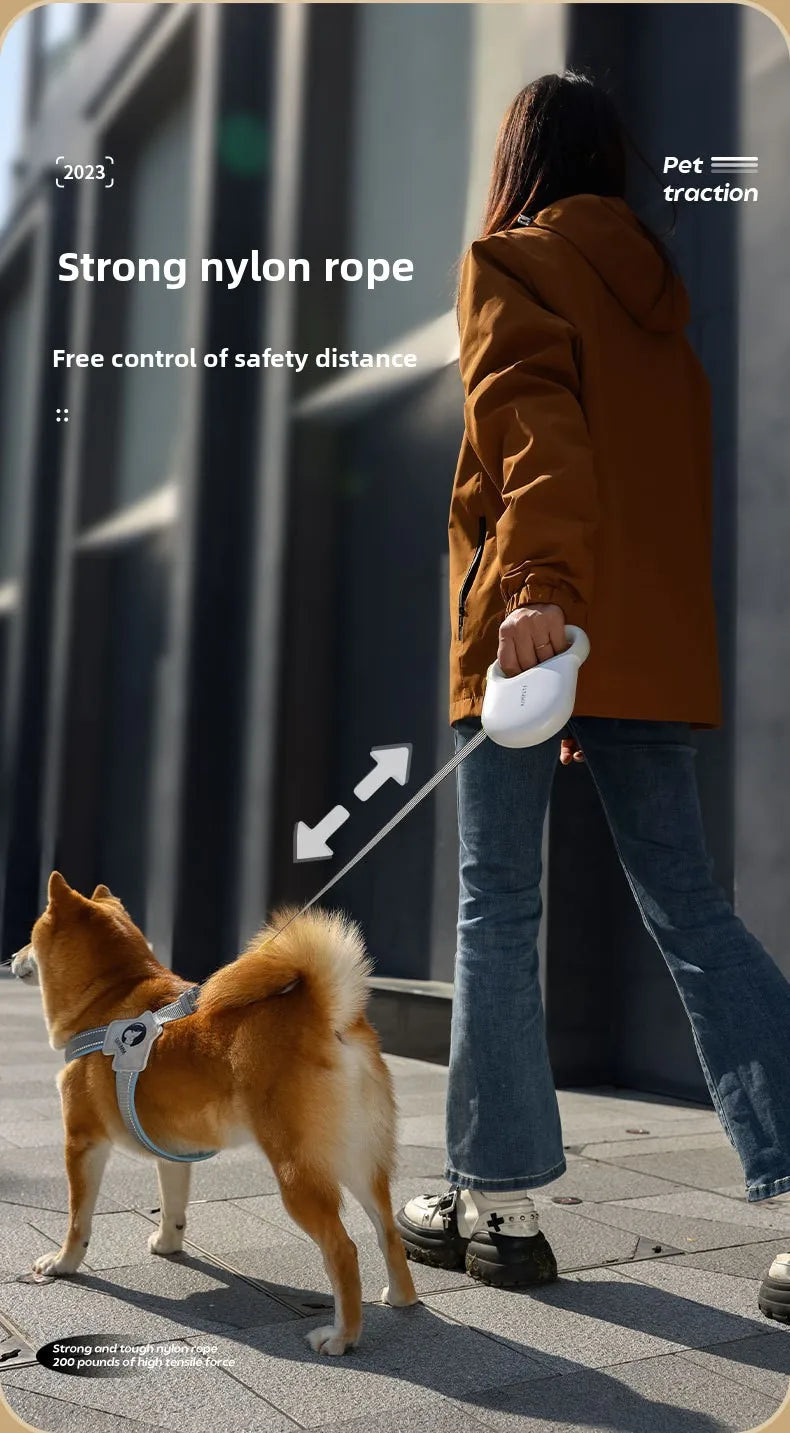 Laisse pour Animaux avec Extension Réglable et Sécurisée – Corde de Marche Réfléchissante pour Chien, Longueur 5M