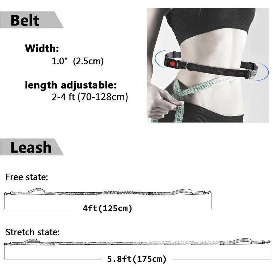 Laisse Élastique pour Chien Mains Libres – Laisse Rétractable en Nylon pour la Course et la Marche, Accessoire Pratique pour Chien