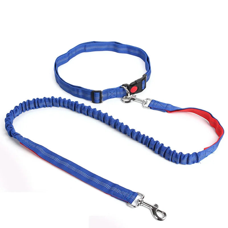 Laisse Élastique pour Chien Mains Libres – Laisse Rétractable en Nylon pour la Course et la Marche, Accessoire Pratique pour Chien