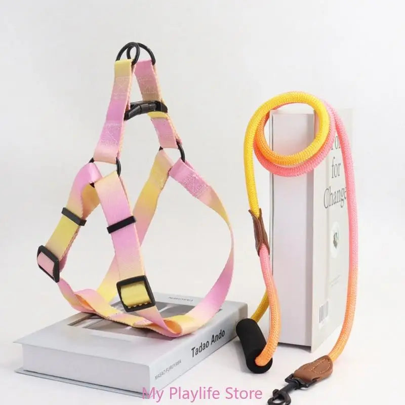 Ensemble Harnais et Laisse de Dressage pour Chien – Harnais de Poitrine avec Libération Rapide, Facile à Contrôler, Idéal pour la Marche et l’Entraînement