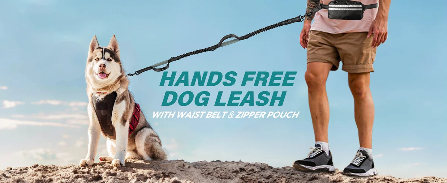 Laisse Mains Libres avec Poche de Rangement – Laisse Double Rétractable pour Deux Chiens avec Amortisseur Élastique et Doubles Poignées Rembourrées, Compatible avec Harnais