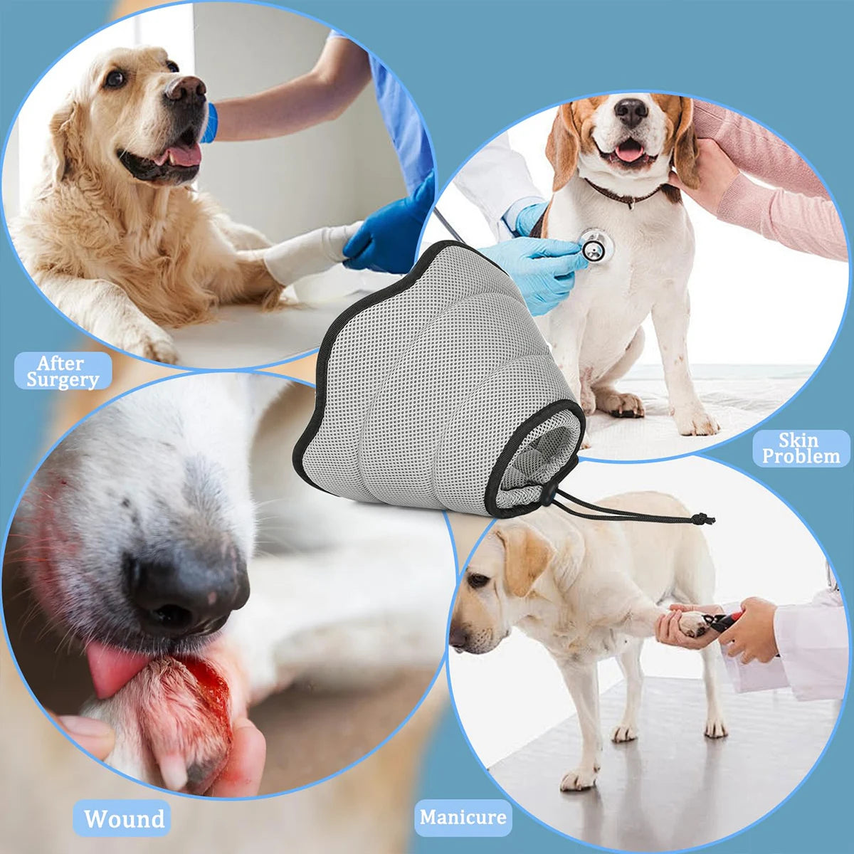 Collerette Vétérinaire pour Chien – Collier de Protection Anti-Léchage et Anti-Morsure, Ajustable, Type Élisabéthain