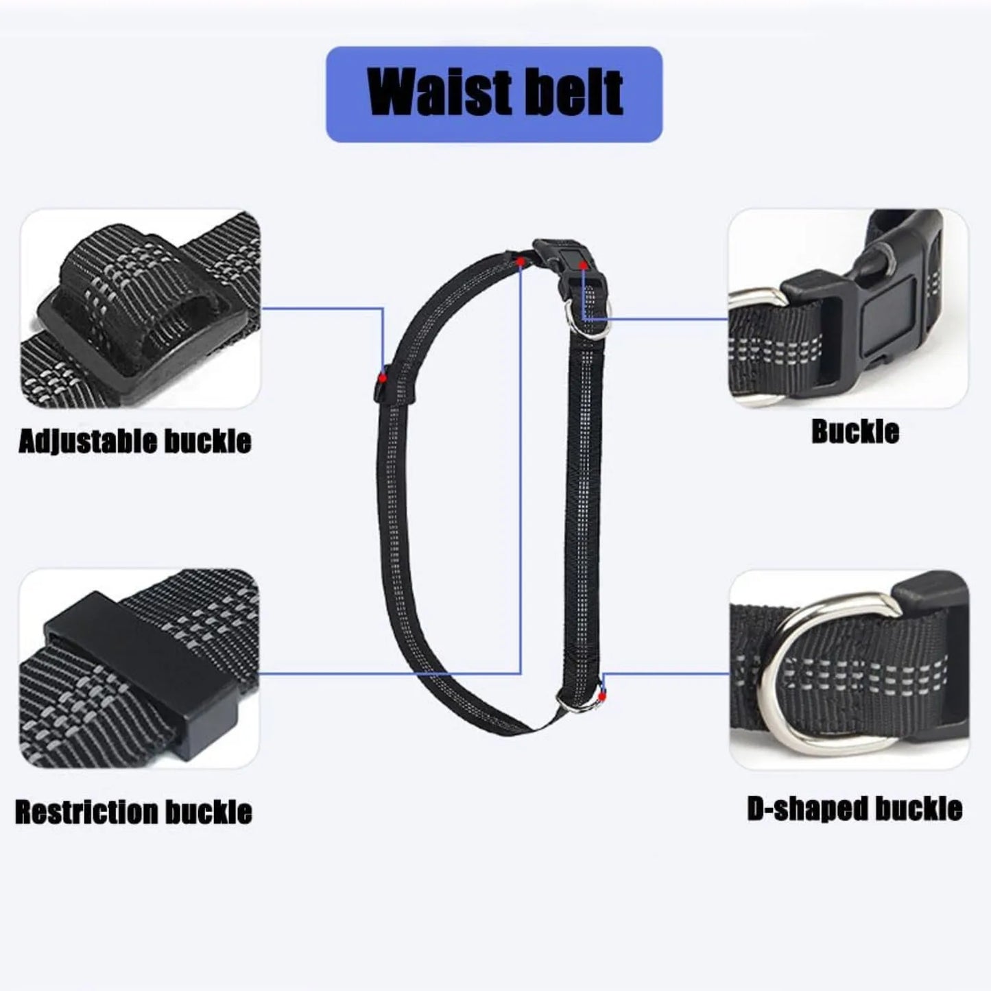 Laisse pour Chien Mains Libres 1,65 m avec Pochette à Fermeture Éclair – Laisse de Taille avec Double Poignée Rembourrée pour la Marche
