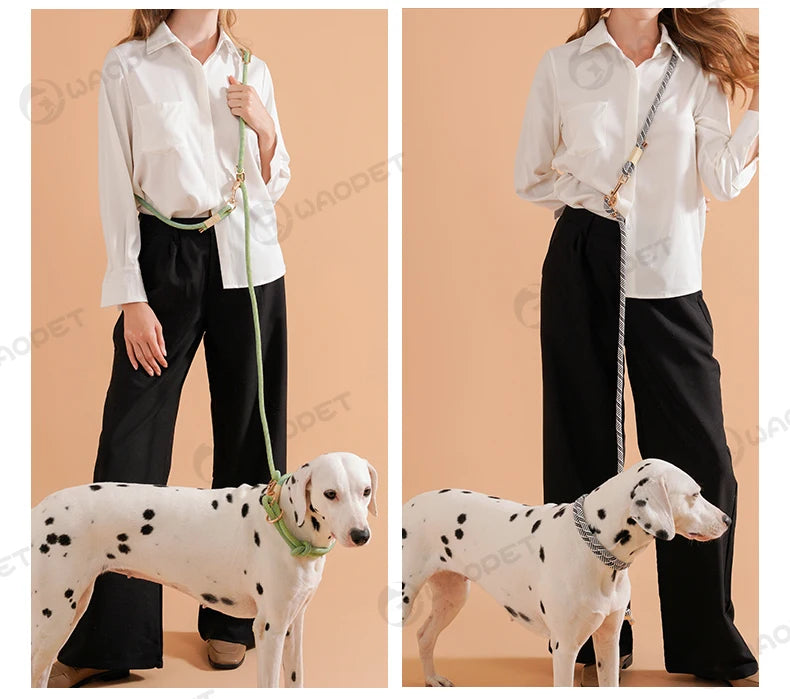 Laisse Multifonction Mains Libres pour Chien – Corde de Marche 10-en-1 pour Chiens Petits, Moyens et Grands, Idéale pour la Course et la Marche en Extérieur