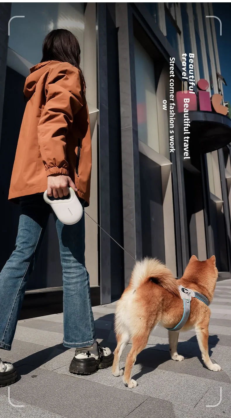 Laisse pour Animaux avec Extension Réglable et Sécurisée – Corde de Marche Réfléchissante pour Chien, Longueur 5M