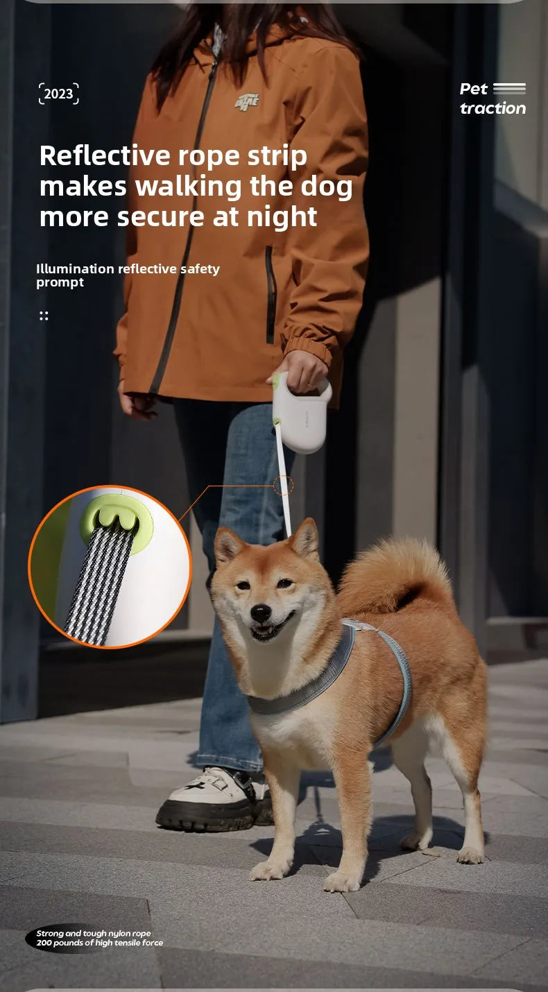 Laisse pour Animaux avec Extension Réglable et Sécurisée – Corde de Marche Réfléchissante pour Chien, Longueur 5M