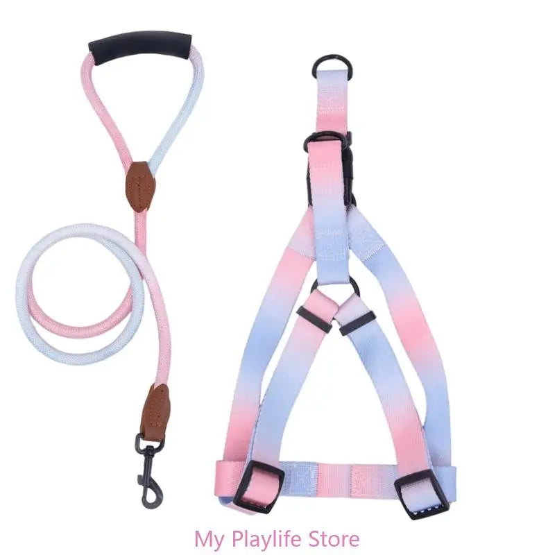 Ensemble Harnais et Laisse de Dressage pour Chien – Harnais de Poitrine avec Libération Rapide, Facile à Contrôler, Idéal pour la Marche et l’Entraînement