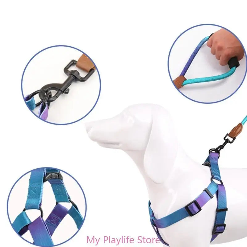 Ensemble Harnais et Laisse de Dressage pour Chien – Harnais de Poitrine avec Libération Rapide, Facile à Contrôler, Idéal pour la Marche et l’Entraînement