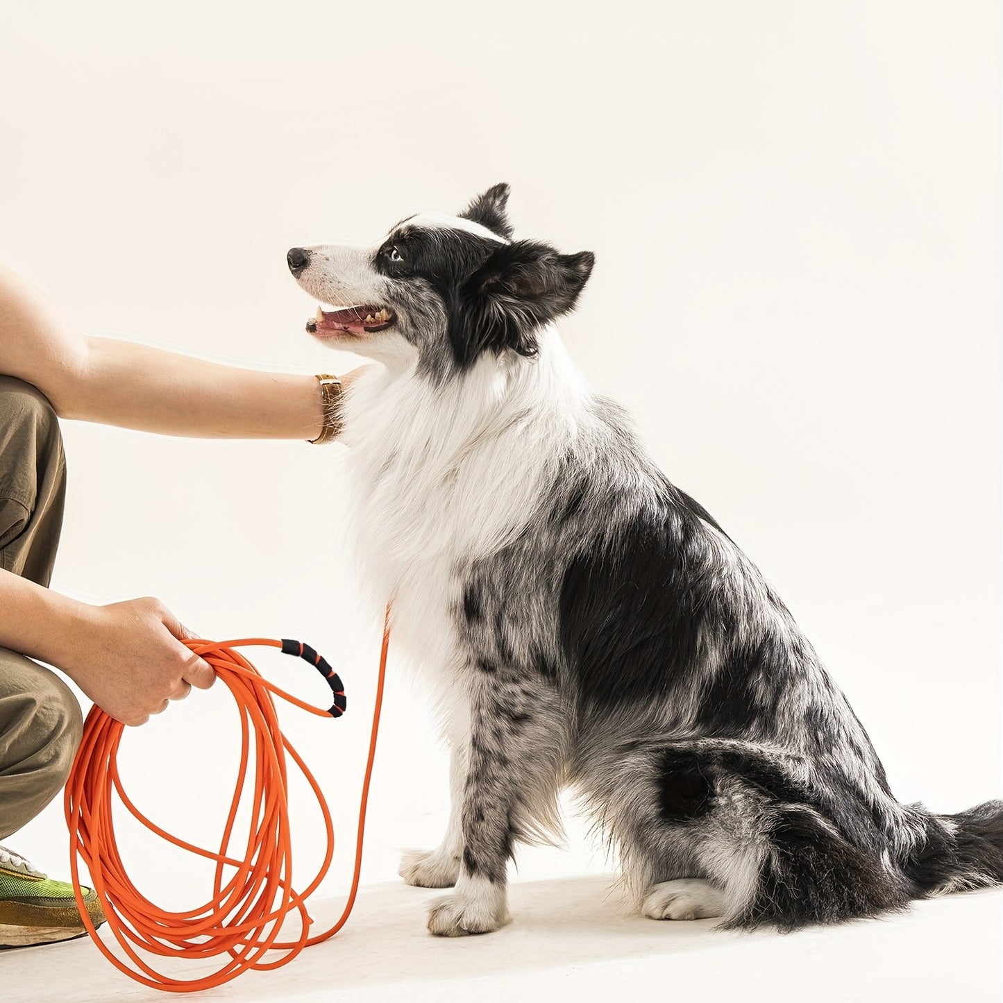 Laisse Longue Étanche et Ultra-Résistante pour Chien – Spéciale Entraînement, Plage, Randonnée & Dressage