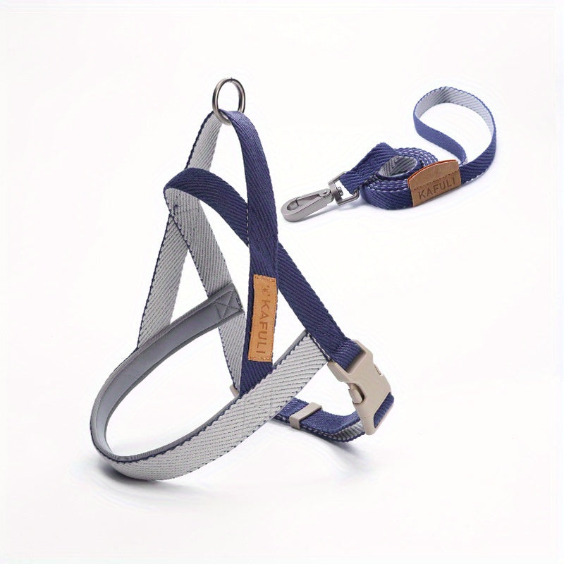 Ensemble Harnais et Laisse Ultra-Confort pour Petits et Moyens Chiens – Pour des Promenades Sécurisées et Agréables