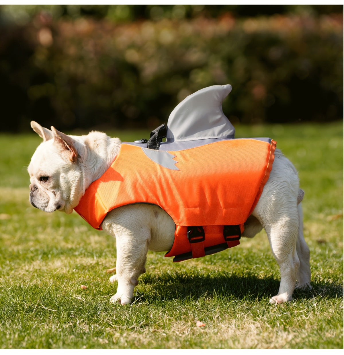 Gilet de Sauvetage Requin Réfléchissant pour Chien – Harnais de Flottaison Sécurisé avec Poignée & Sangles Réglables