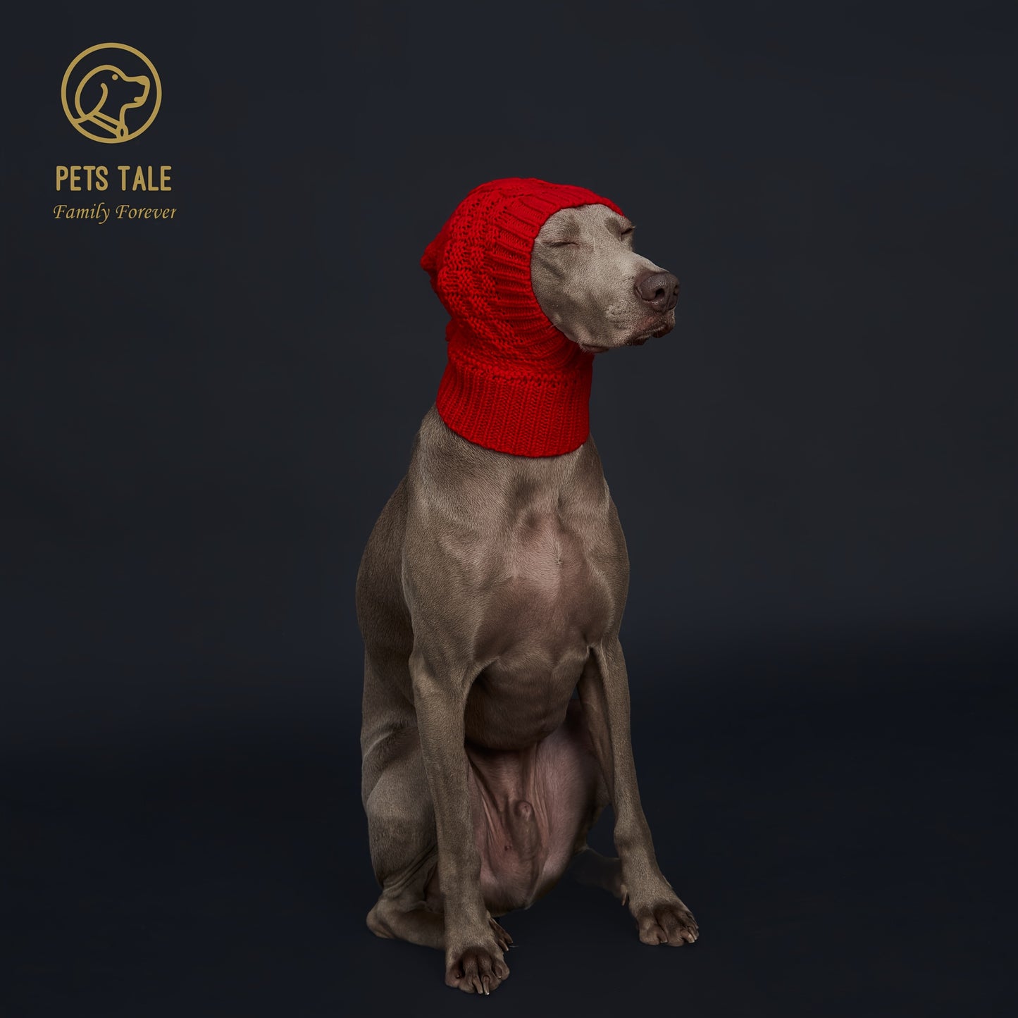 Bonnet Chaud pour Chien – Casquette d’Hiver Unicolore avec Pompon – Accessoire Tendance et Confortable pour Animaux – Coloris Rouge