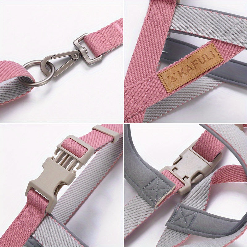 Ensemble Harnais et Laisse Ultra-Confort pour Petits et Moyens Chiens – Pour des Promenades Sécurisées et Agréables
