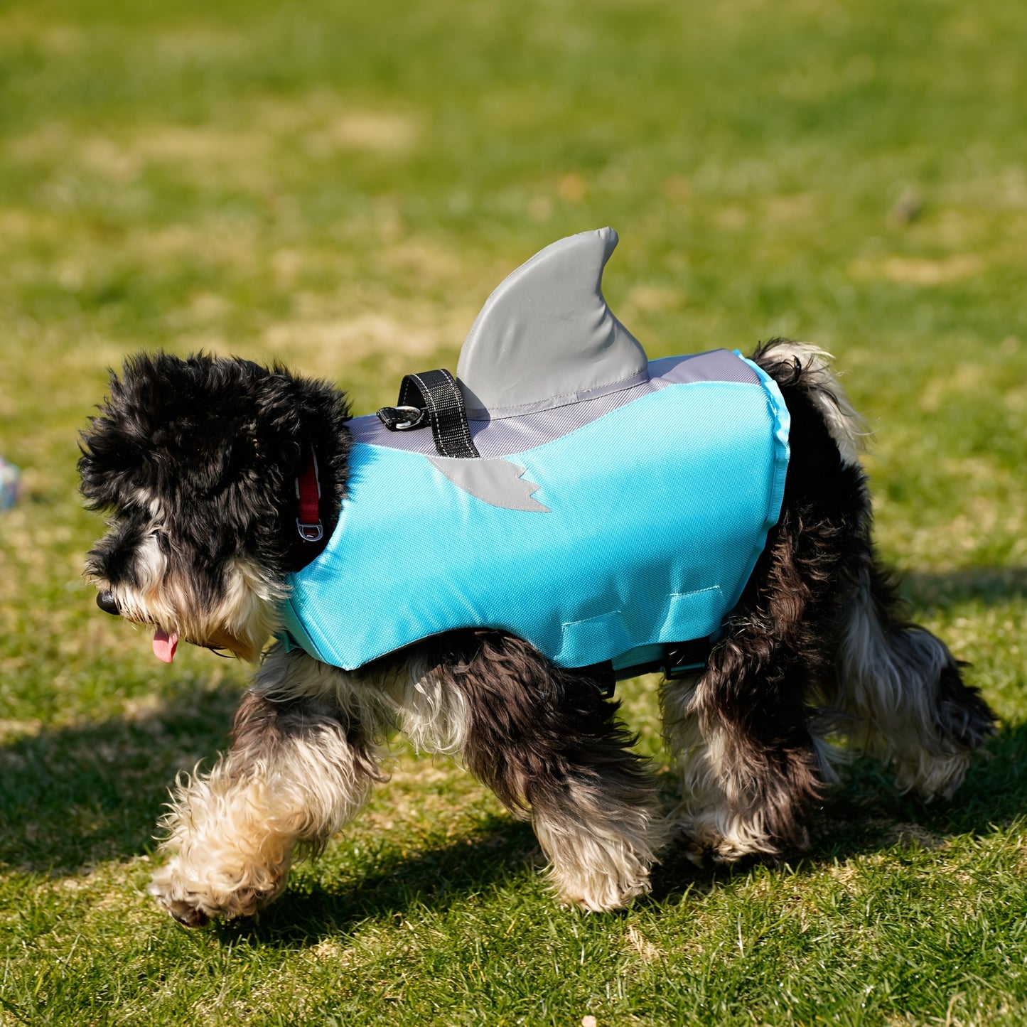 Gilet de Sauvetage Requin Réfléchissant pour Chien – Harnais de Flottaison Sécurisé avec Poignée & Sangles Réglables