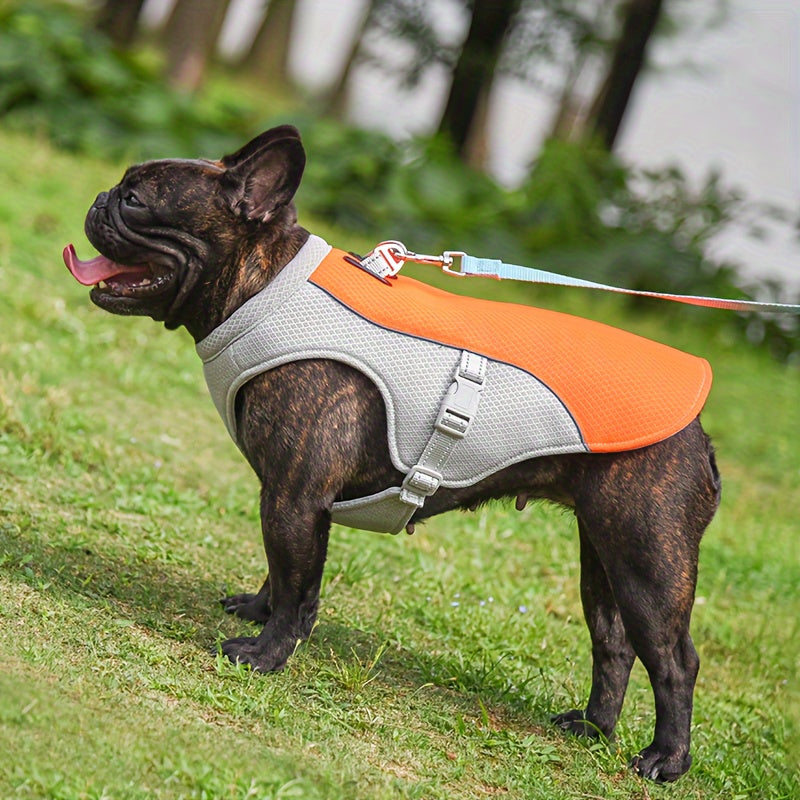 Gilet Rafraîchissant Respirant pour Chien – Veste Anti-Chaleur Été, Réglable & Ultra-Léger