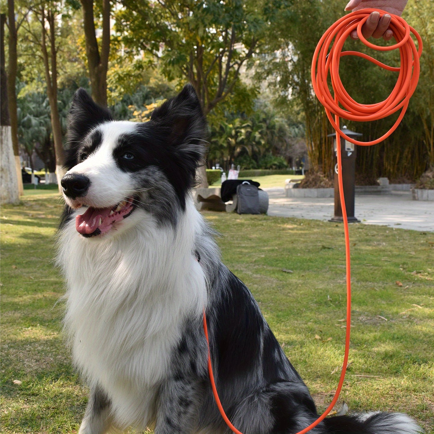 Laisse Longue Étanche et Ultra-Résistante pour Chien – Spéciale Entraînement, Plage, Randonnée & Dressage