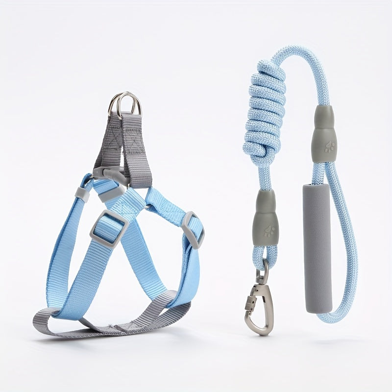 Ensemble Harnais et Laisse en Corde Style Macaron – Pour Petits et Moyens Chiens