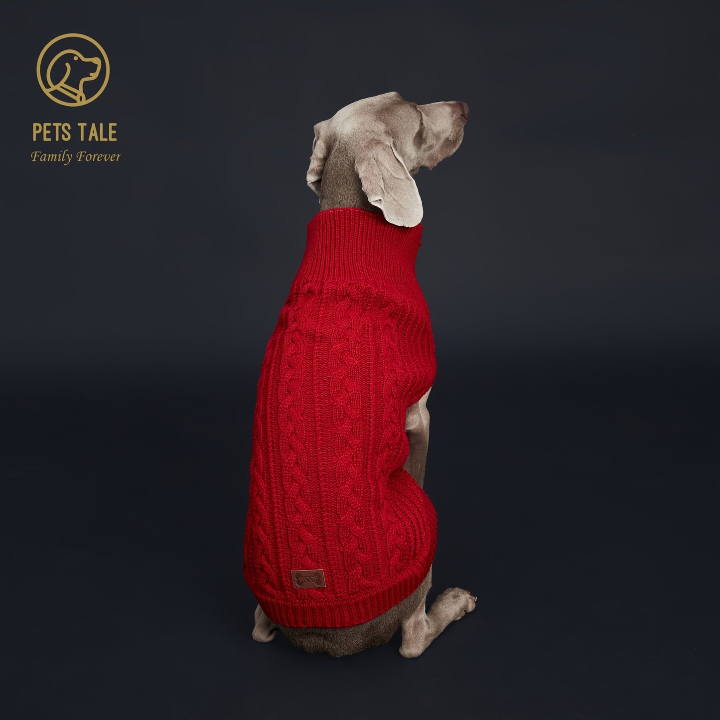 Pull Tricoté Uni pour Chien – Vêtement Chaud pour l’Automne et l’Hiver – 1 Pièce – Chandail Douillet pour Animaux