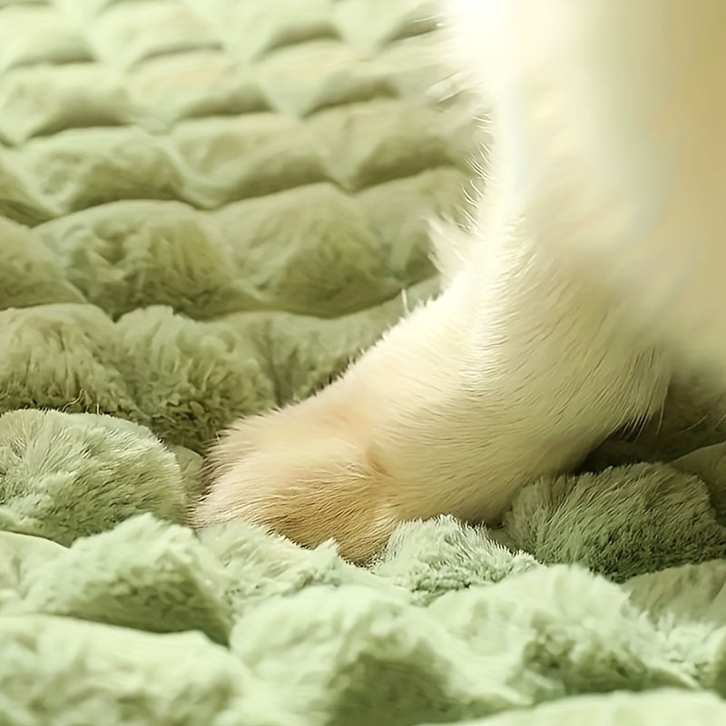 Tapis de Couchage pour Chien – 1 Pièce – Coussin Universel Toutes Saisons pour Niche ou Panier – Matelas Douillet avec Housse Amovible et Lavable – Soutien Doux pour la Colonne Vertébrale