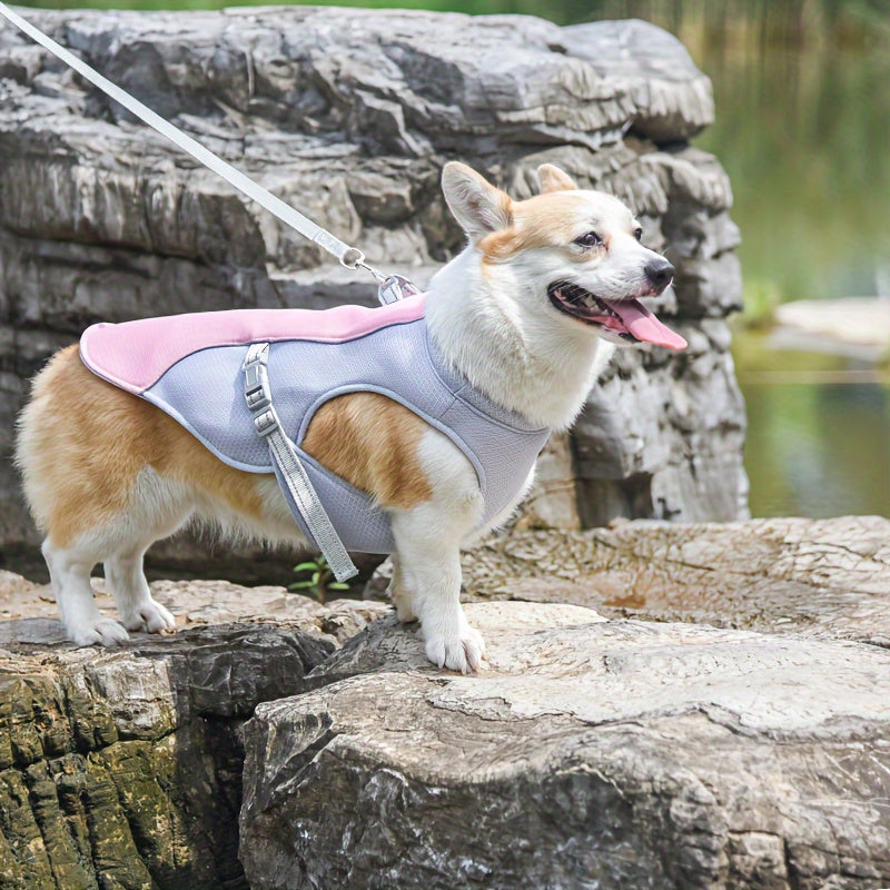 Gilet Rafraîchissant Respirant pour Chien – Veste Anti-Chaleur Été, Réglable & Ultra-Léger