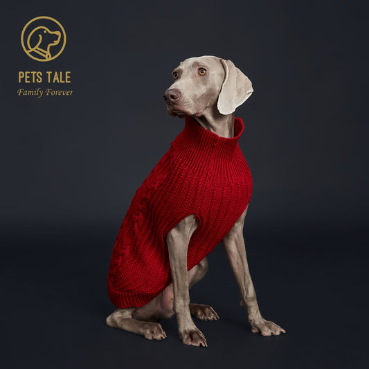 Pull Tricoté Uni pour Chien – Vêtement Chaud pour l’Automne et l’Hiver – 1 Pièce – Chandail Douillet pour Animaux