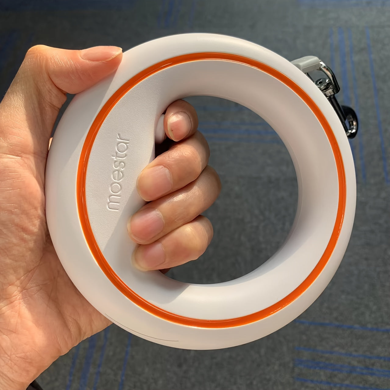 Laisse Télescopique pour Chien – Solide, Extensible et Confortable pour Moyens et Grands Chiens