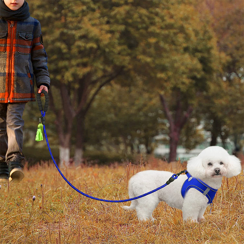Laisse Réfléchissante JOYTALE pour Chien – Poignée Rembourrée Ultra-Confortable