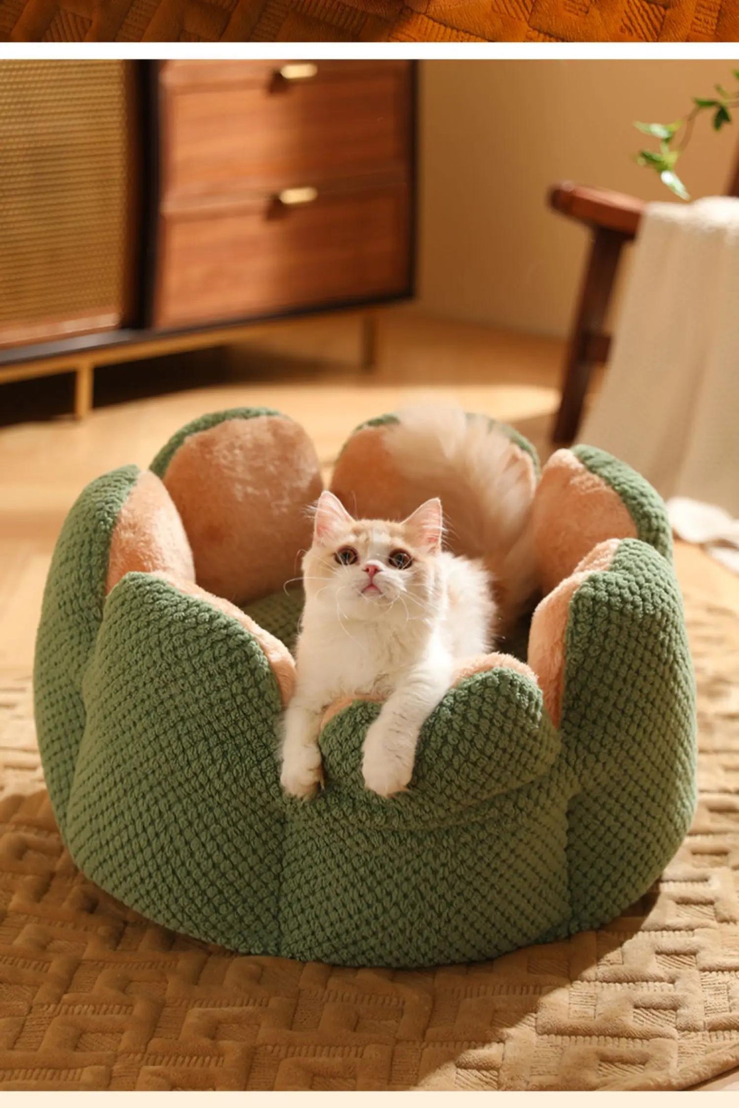 Coussin Douillet en Forme de Fleur pour Chat ou Chiot – Panier Rond en Peluche, Moelleux et Chaleureux pour l’Hiver