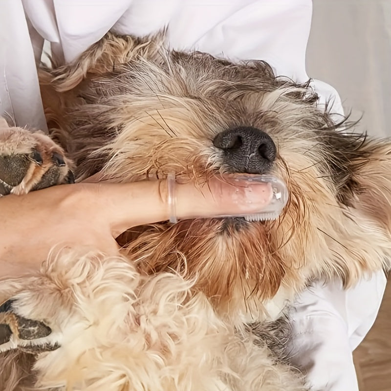 Lot de 2/4/6 Brossettes à Dents en Silicone pour Chien – Hygiène Douce et Efficace, Adaptée à Toutes Tailles de Chiens & Chats
