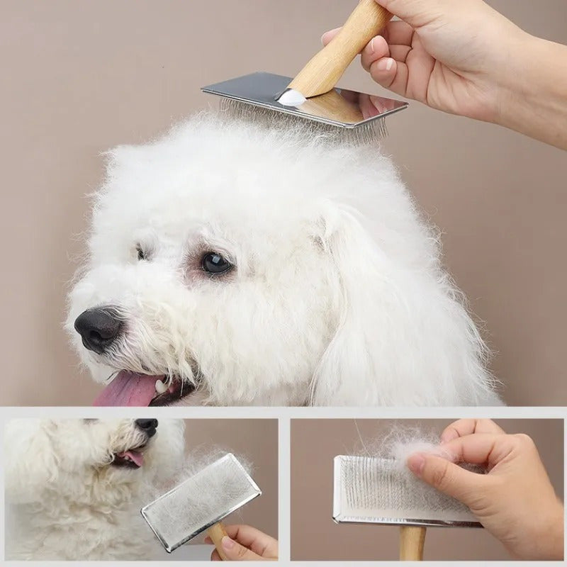 Kit de Brosses de Toilettage pour Chien & Chat – Manche en Bois Massif, Peigne Démêlant Inox & Brosse de Massage
