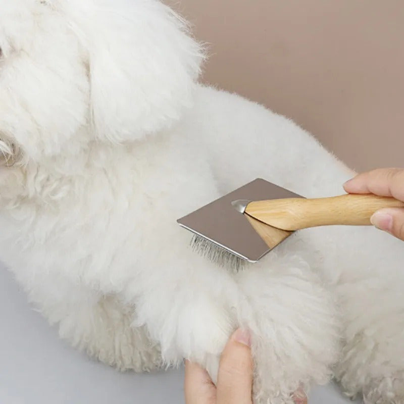 Kit de Brosses de Toilettage pour Chien & Chat – Manche en Bois Massif, Peigne Démêlant Inox & Brosse de Massage