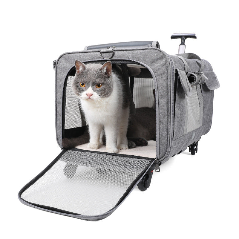 Chariot de Transport pour Animaux – Très Grand Format – Sac de Voyage Pliable pour Chien et Chat – Structure Amovible avec Roues – Cage Trolley Portable