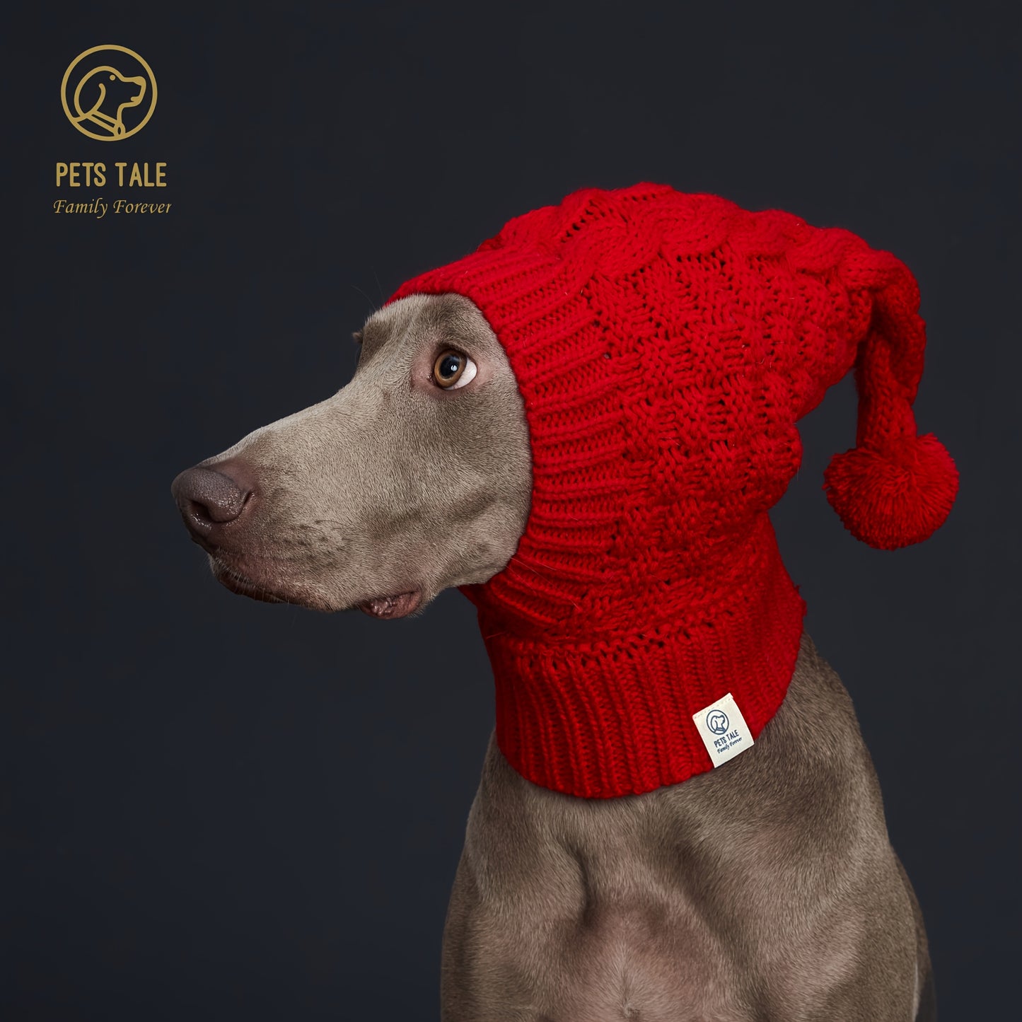 Bonnet Chaud pour Chien – Casquette d’Hiver Unicolore avec Pompon – Accessoire Tendance et Confortable pour Animaux – Coloris Rouge
