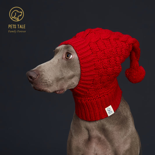Bonnet Chaud pour Chien – Casquette d’Hiver Unicolore avec Pompon – Accessoire Tendance et Confortable pour Animaux – Coloris Rouge