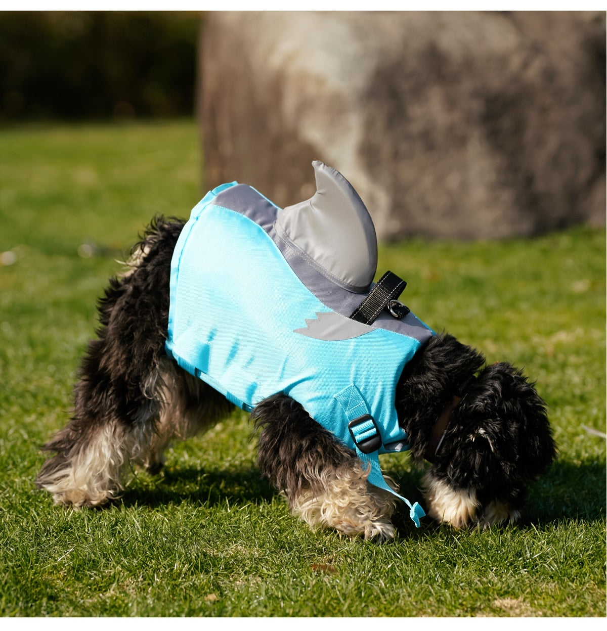Gilet de Sauvetage Requin Réfléchissant pour Chien – Harnais de Flottaison Sécurisé avec Poignée & Sangles Réglables