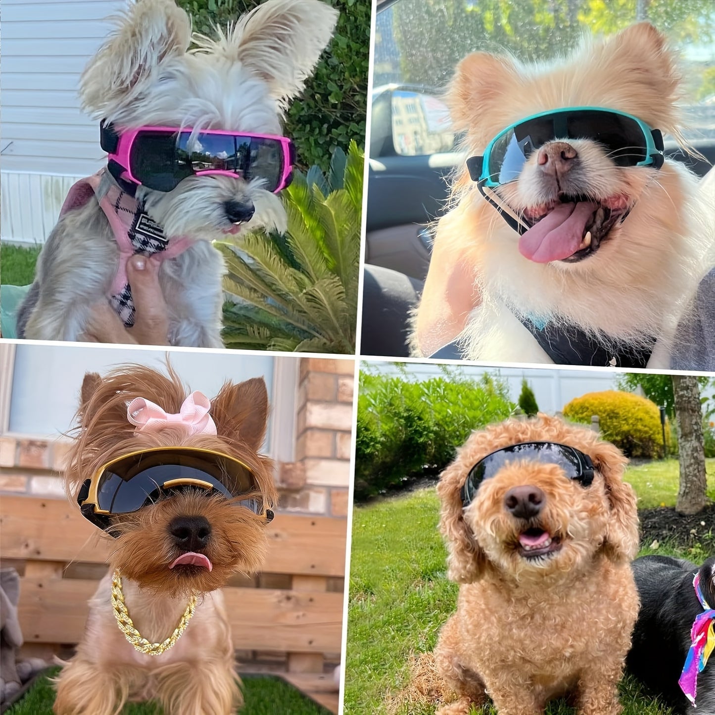 Lunettes de Soleil Demi-Monture pour Chien – Style, Protection & Fun pour Chiens de Toutes Tailles
