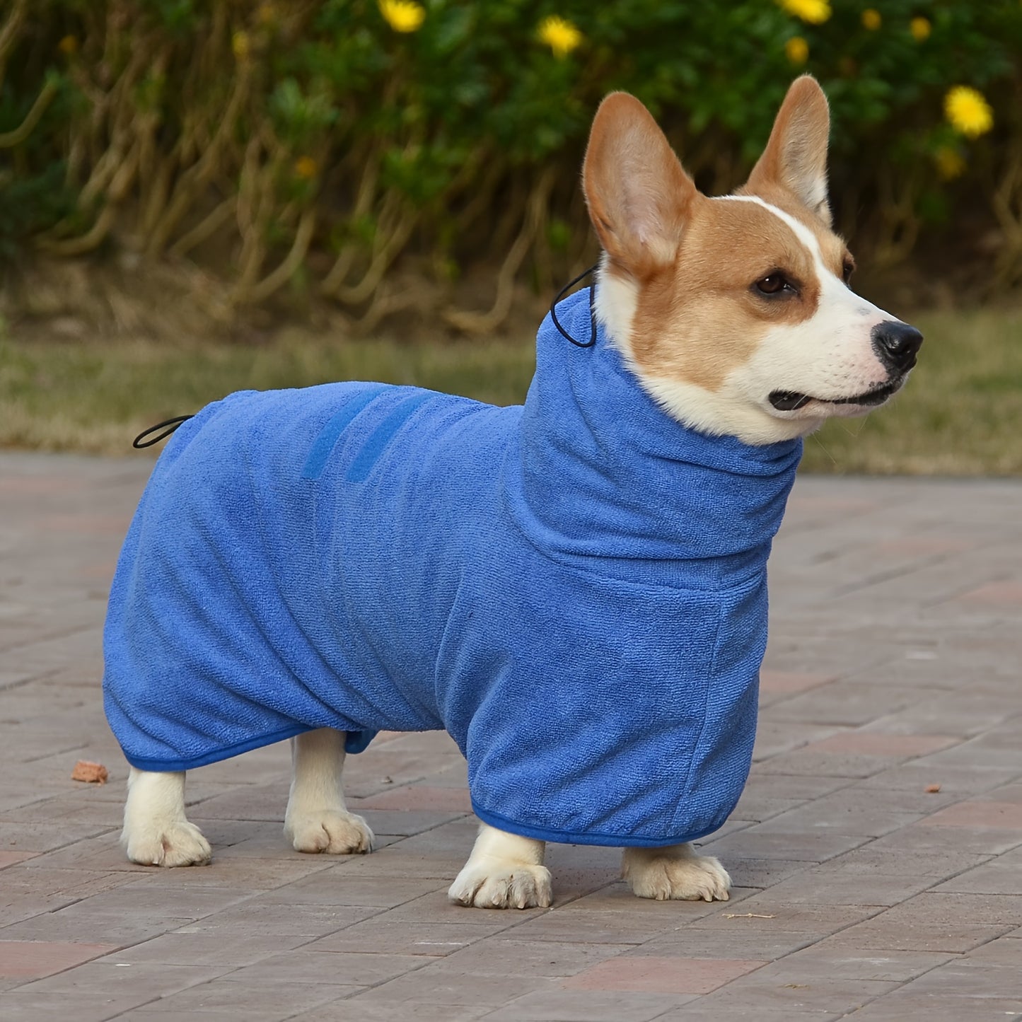 Peignoir de Séchage en Microfibre pour Chien – Ultra-Absorbant & Séchage Rapide