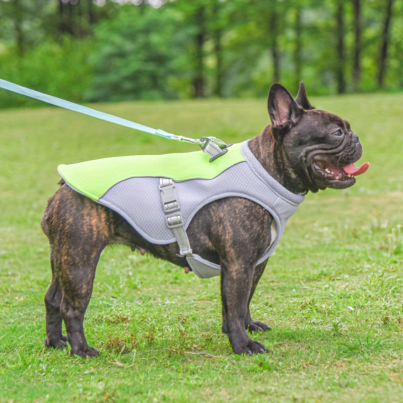 Gilet Rafraîchissant Respirant pour Chien – Veste Anti-Chaleur Été, Réglable & Ultra-Léger