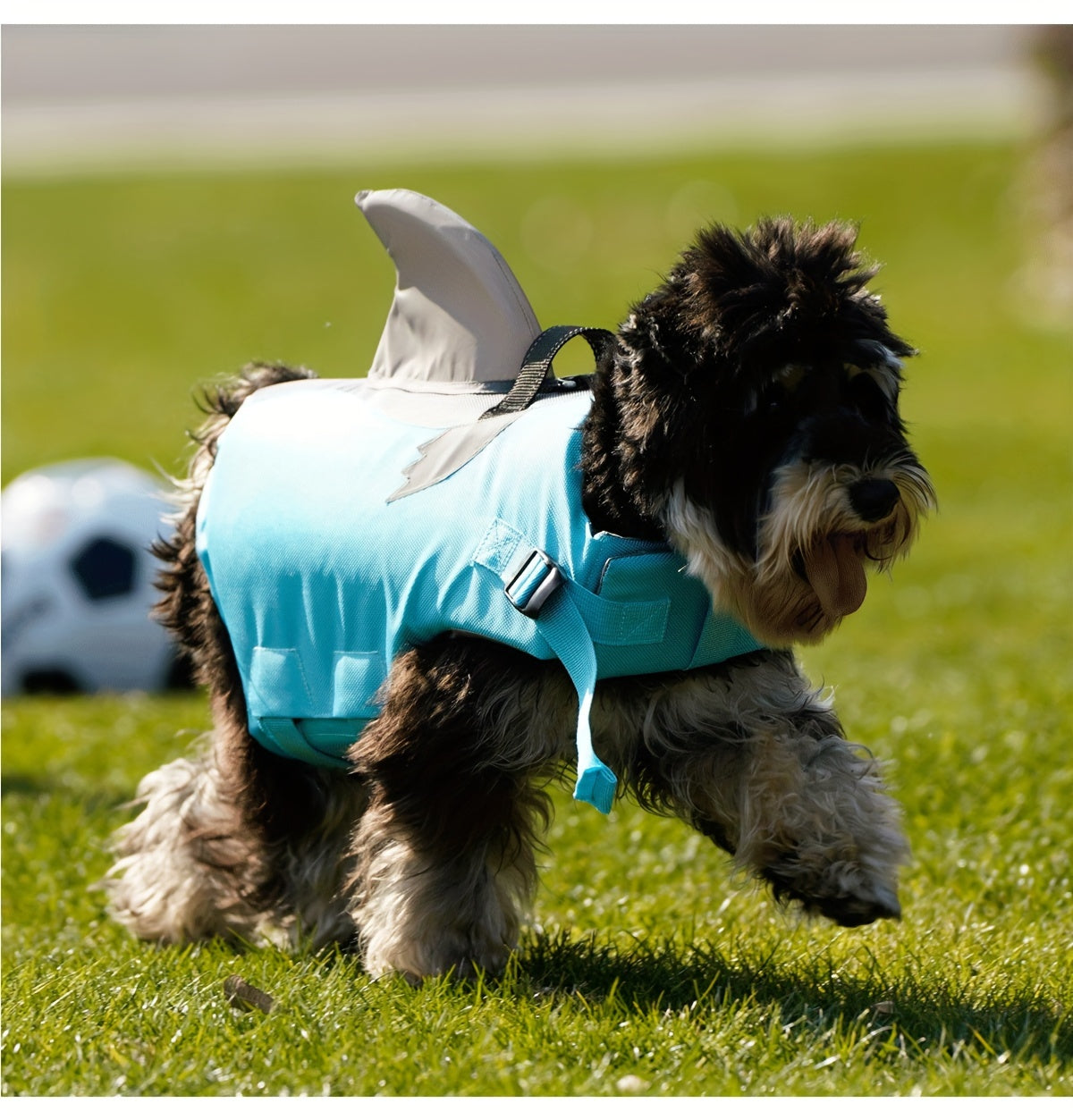 Gilet de Sauvetage Requin Réfléchissant pour Chien – Harnais de Flottaison Sécurisé avec Poignée & Sangles Réglables