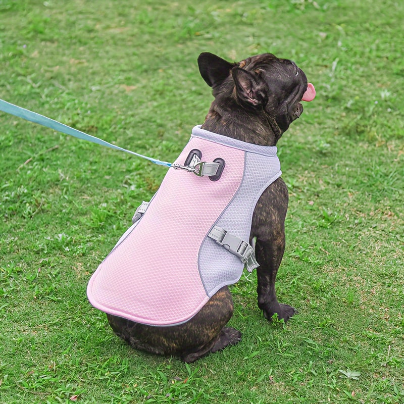 Gilet Rafraîchissant Respirant pour Chien – Veste Anti-Chaleur Été, Réglable & Ultra-Léger