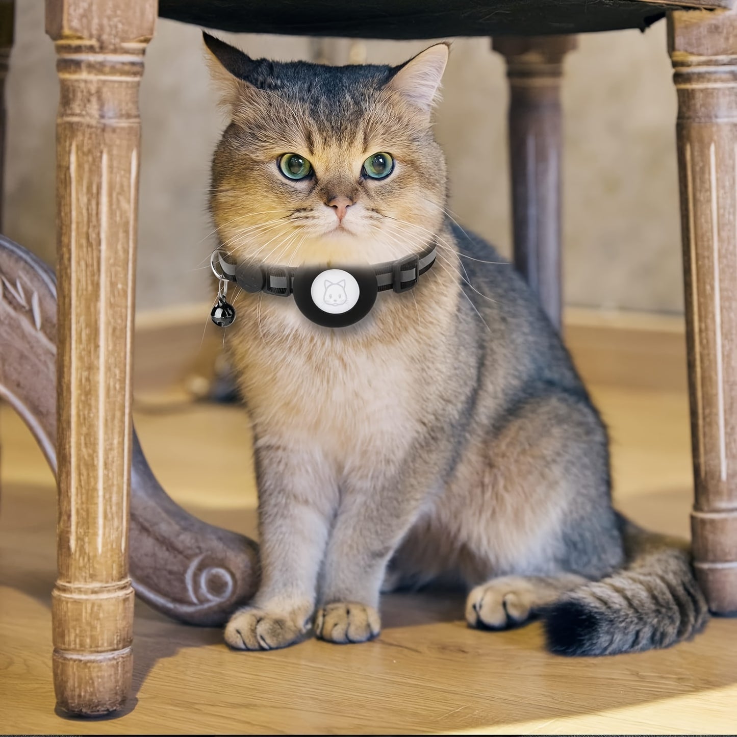 Lot de 2 Colliers pour Chat avec Support AirTag – Collier Sécurité Réfléchissant avec Clochette – Boucle Anti-étranglement – Réglable 17,8 à 30,5 cm – Pour Chats Femelles et Mâles